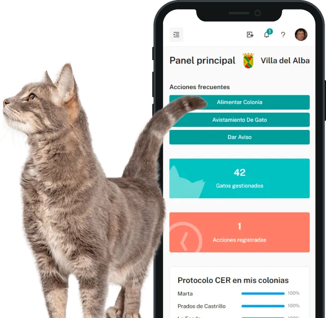 Aplicación de Meow Metrics en un teléfono, con un gato